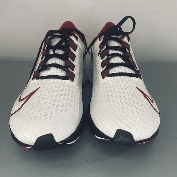 Nike Air Zoom Pegasus 37 "Atlanta Falcons" Men's Size 11 (CZ5447-100) - Picture 3 of 14